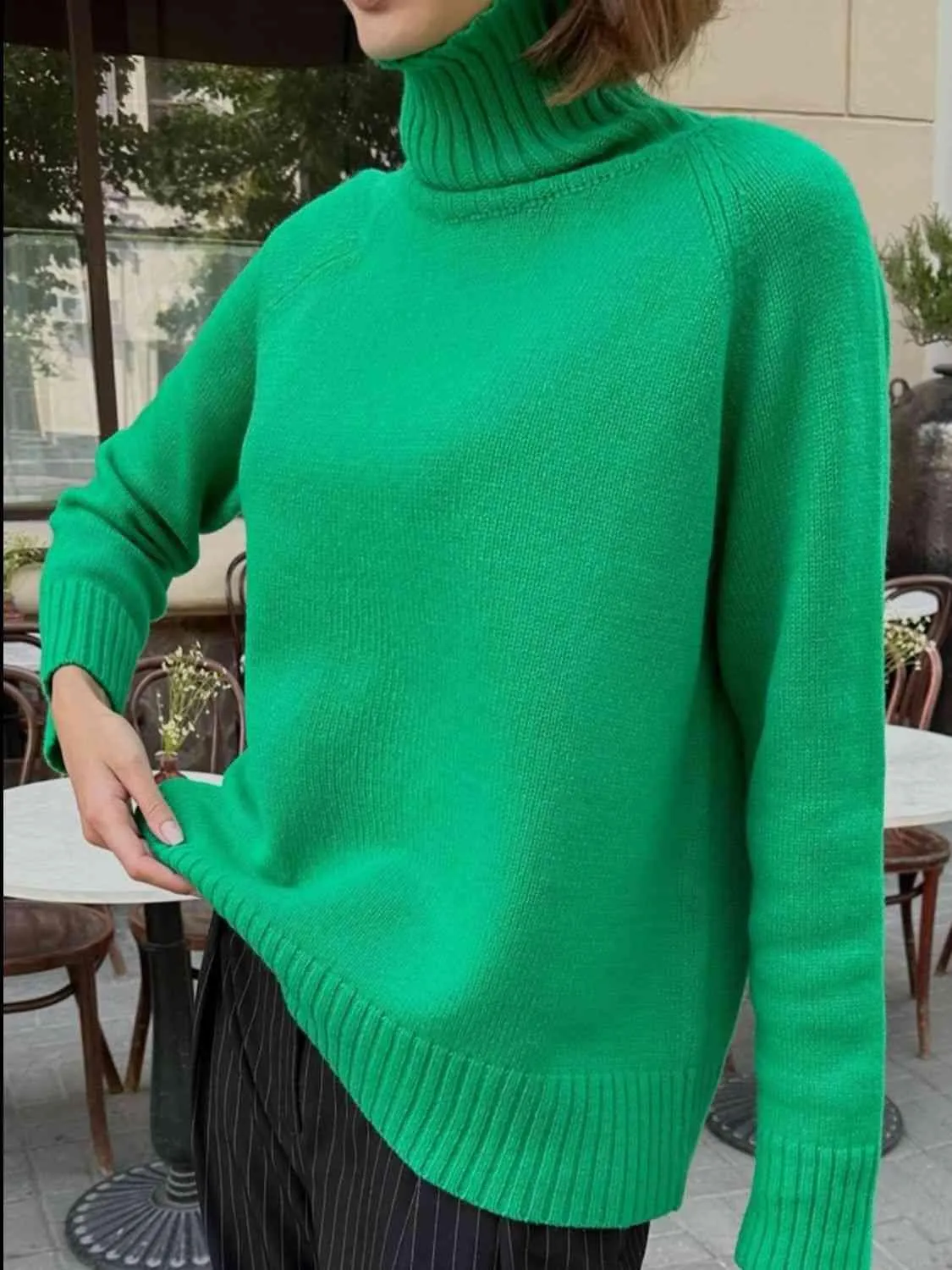 Warm Option Turtleneck Knit Sweater