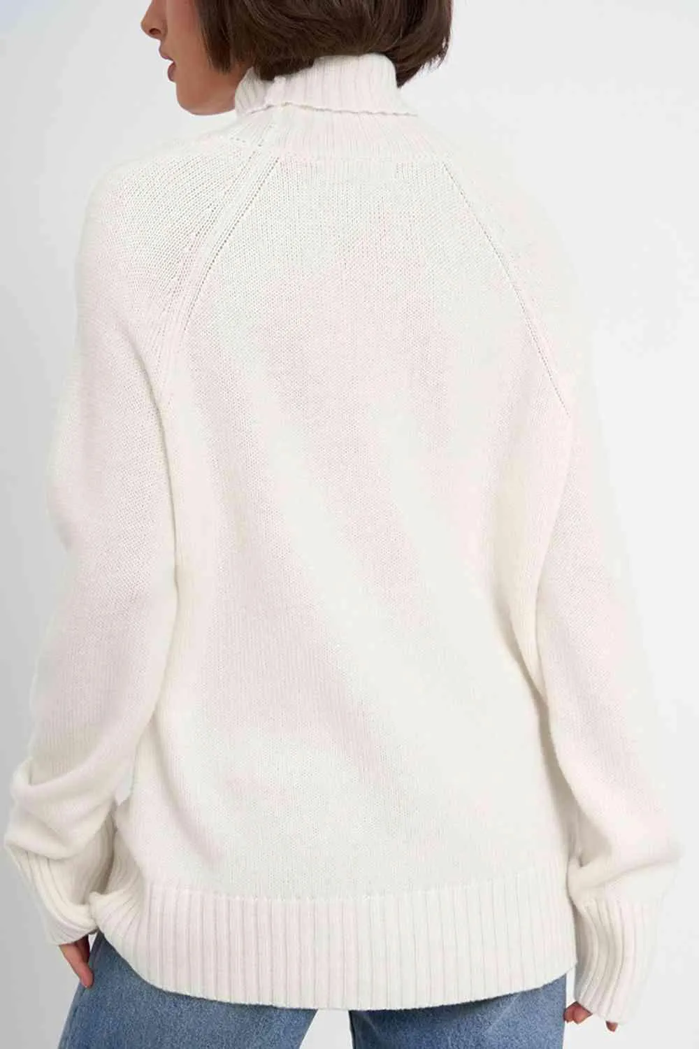 Warm Option Turtleneck Knit Sweater