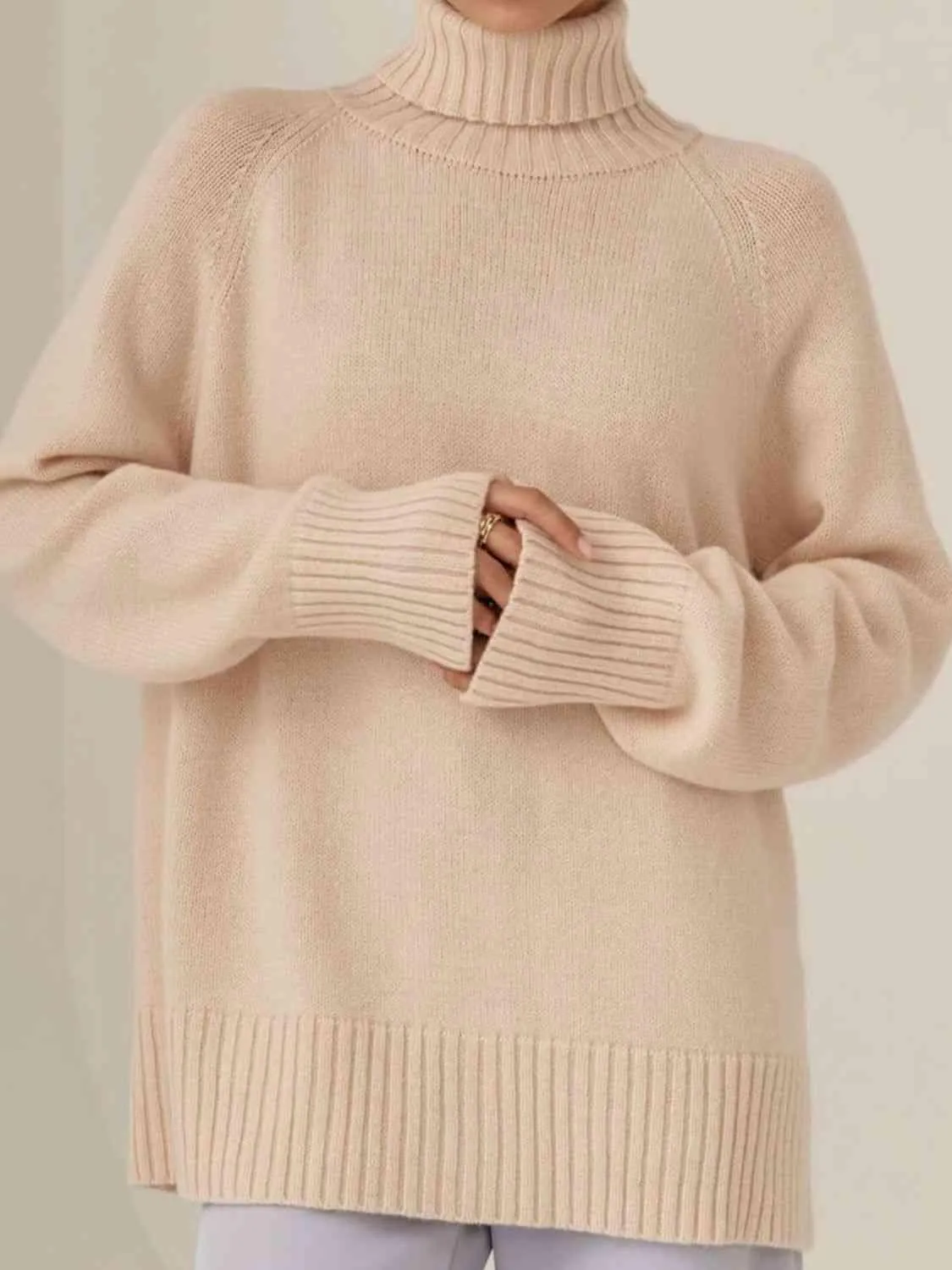 Warm Option Turtleneck Knit Sweater