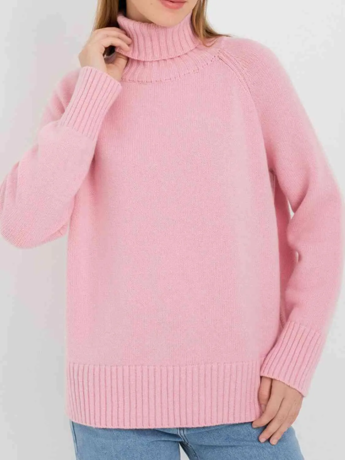 Warm Option Turtleneck Knit Sweater