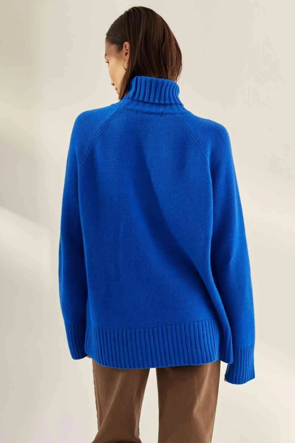Warm Option Turtleneck Knit Sweater