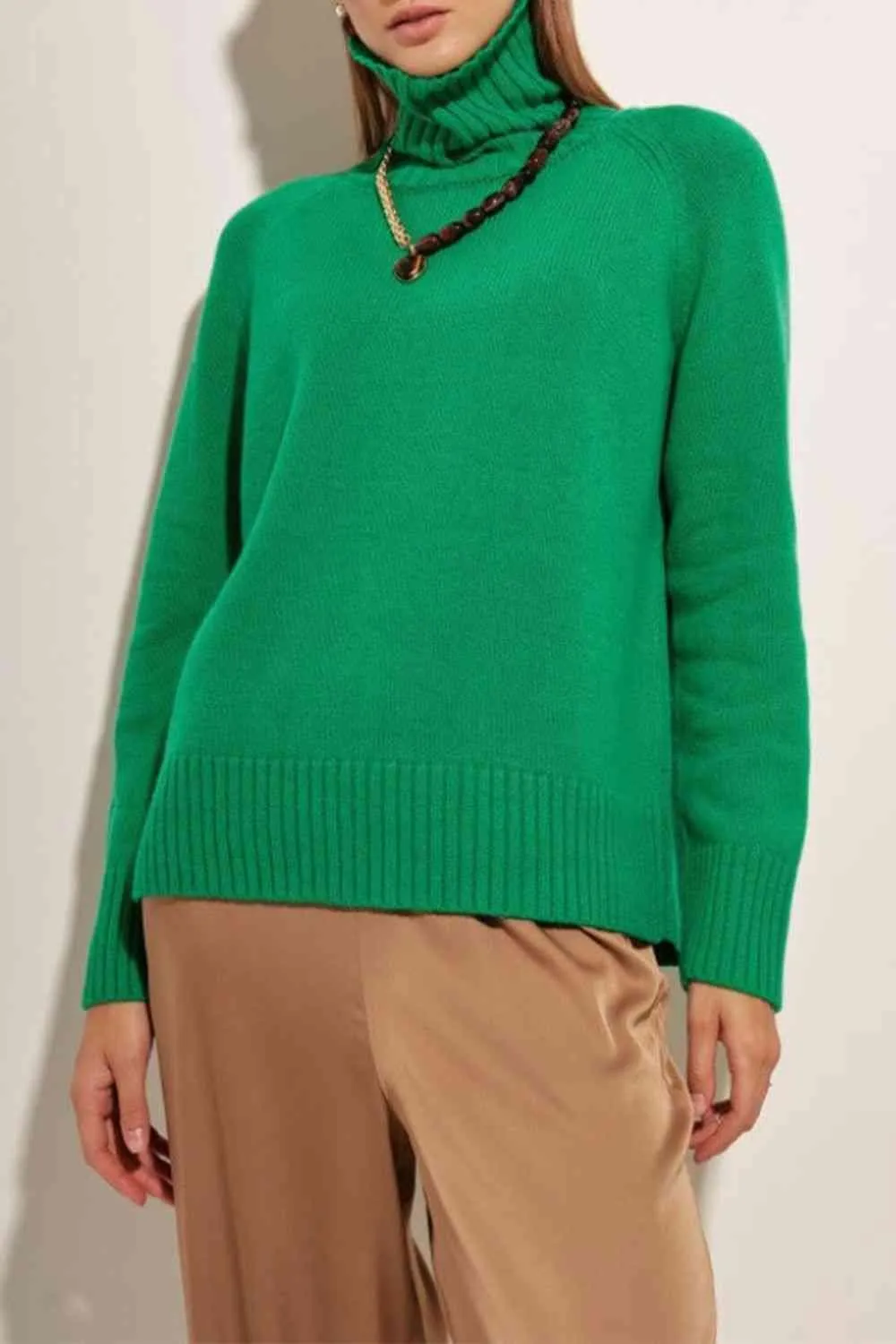 Warm Option Turtleneck Knit Sweater